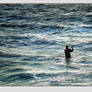 Gone Fishing