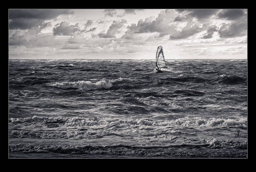 If Everybody Had an Ocean ...