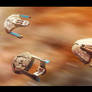 Star Trek First Contact Fleet