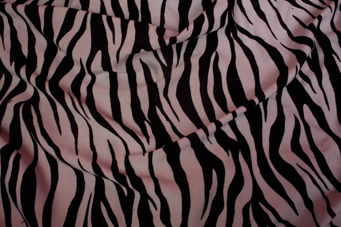 zebra texture by VioletBreezeStock