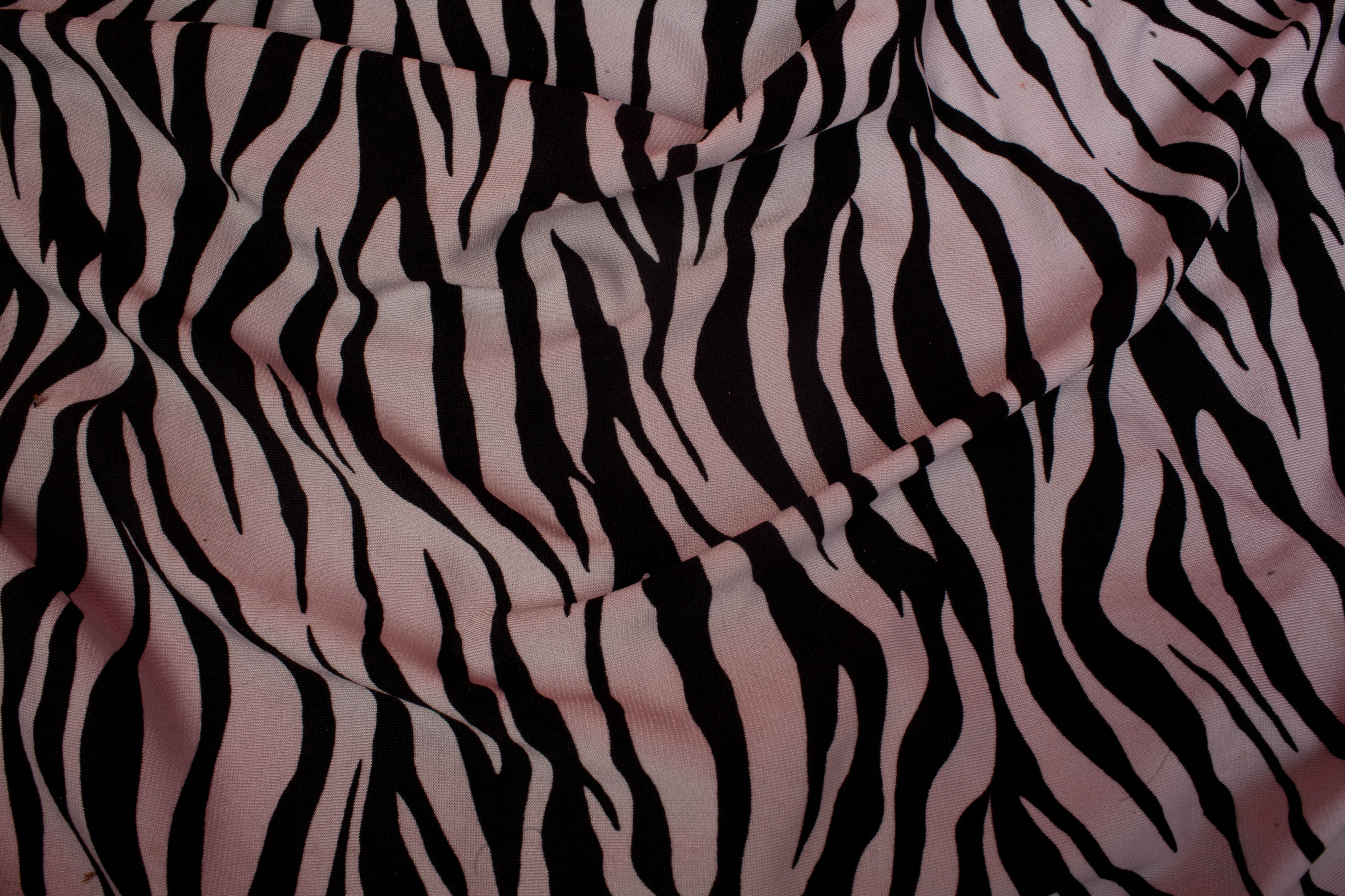 zebra texture by VioletBreezeStock
