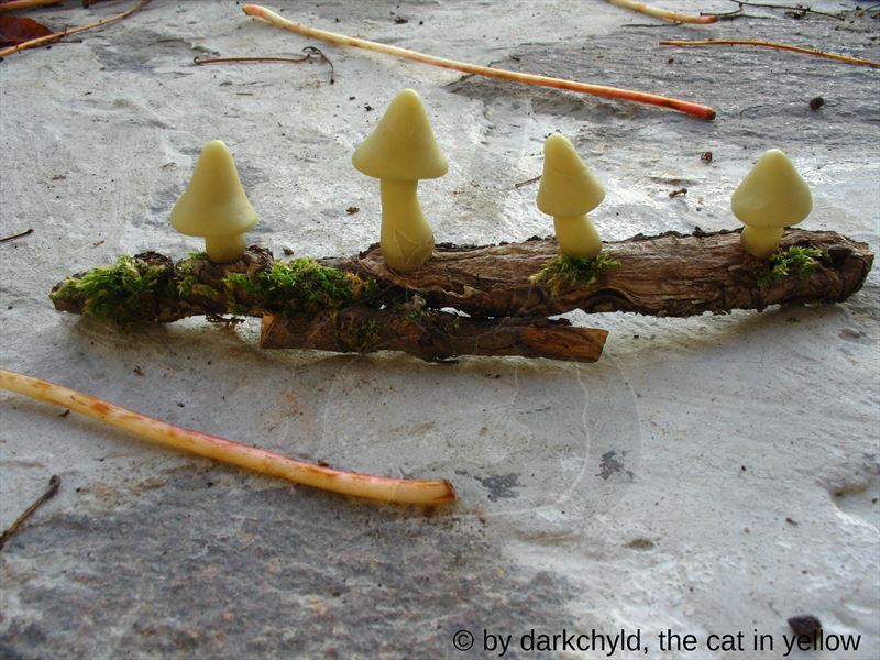 Glowing Mushrooms