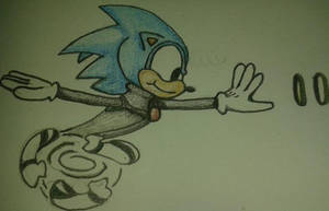 Sonic