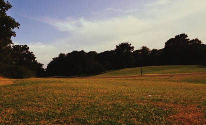 Field of beauty