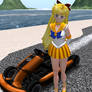 Sailor Venus Go Kart