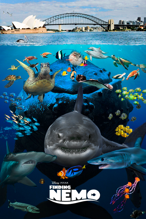 Nemo Remake Finding Nemo: live action poster version by Spidey-1962 on DeviantArt