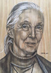 Jane Goodall on Pine Wood