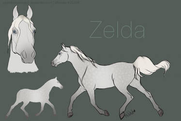 Zelda the mare