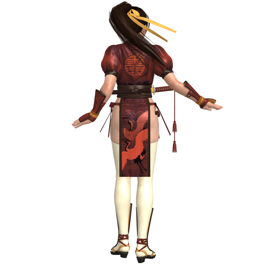 DOA - Kasumi as Sol Badguy Recolor (Back) by CaliburWarrior on DeviantArt