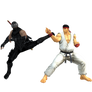 Dead or Alive Vs Street Fighter - Hayabusa Vs Ryu