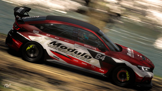 Modulo Honda Civic FL5 in Cherry Blossoms