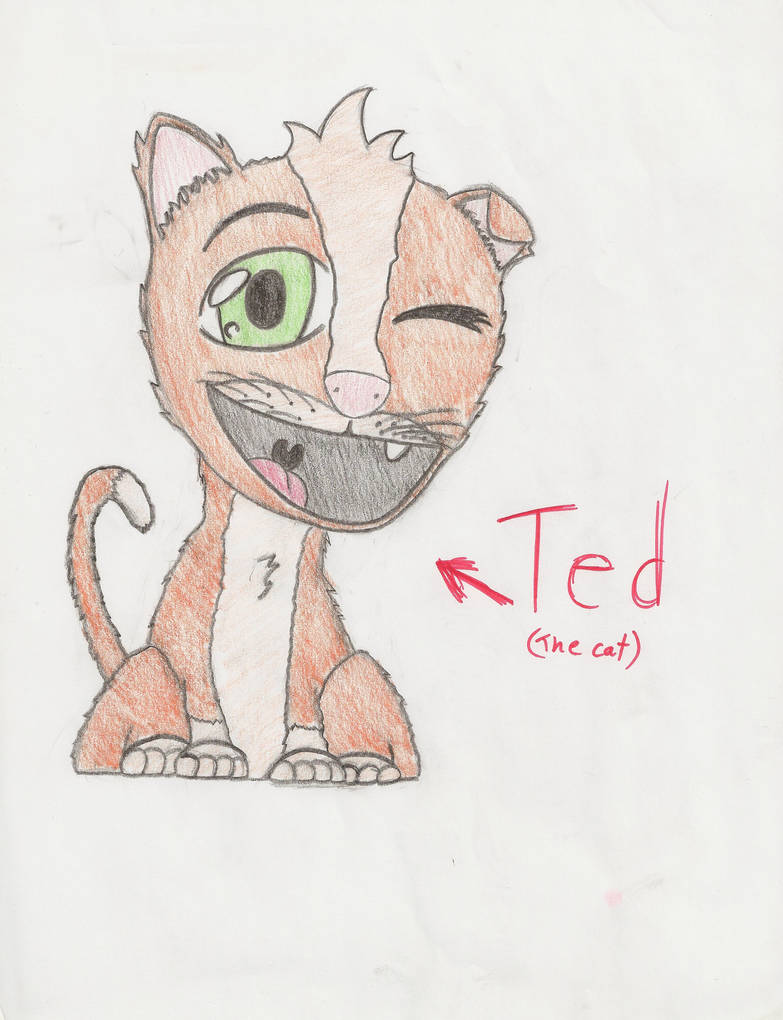 ted the cat by momothetiger on DeviantArt