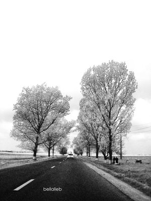 the road.