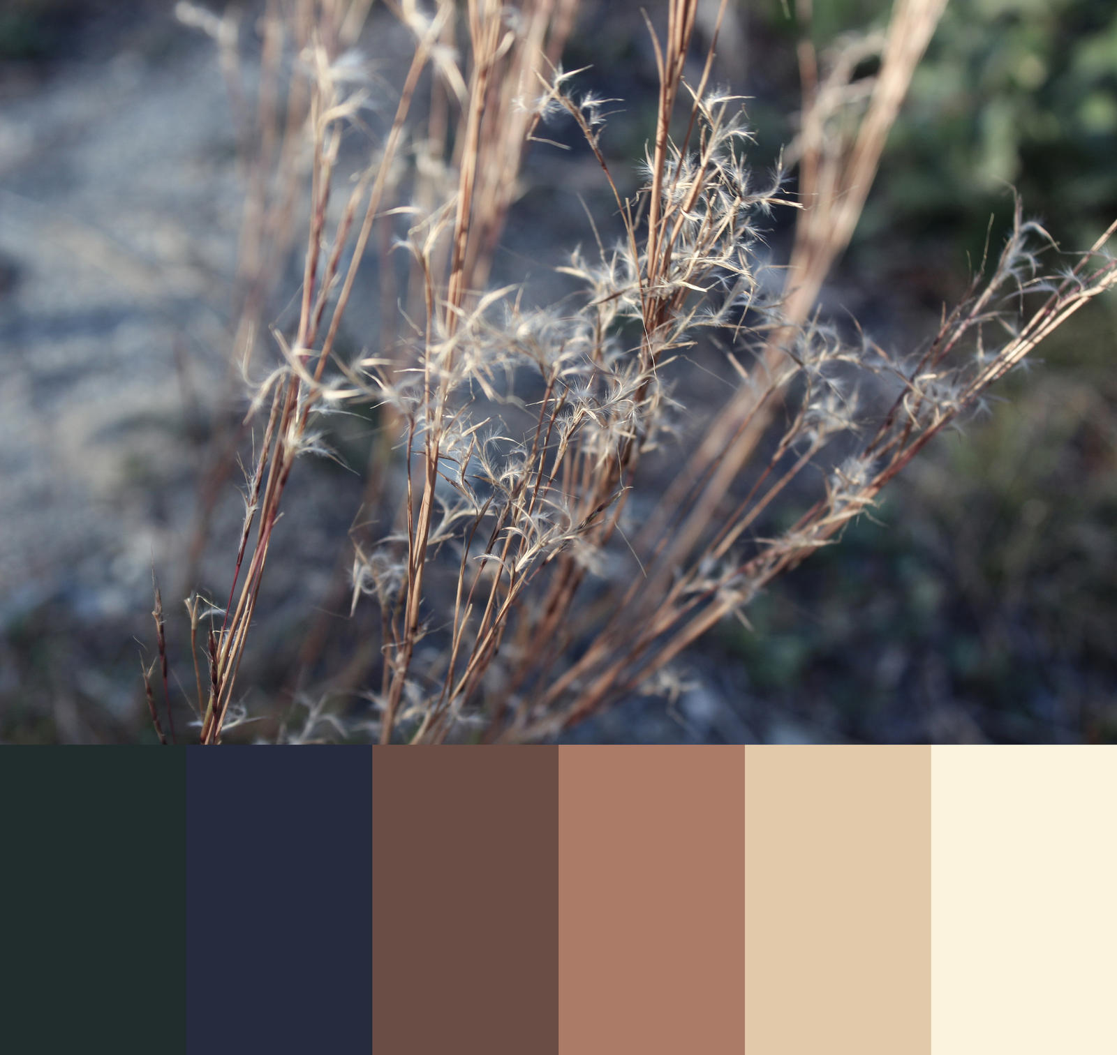 grasses color palette by wwapiti on DeviantArt