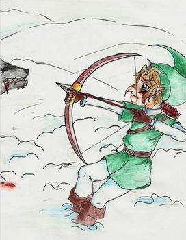 Link-on-wolf