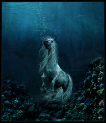 The Sea Horse