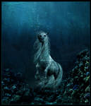 The Sea Horse by duckiethedonkey