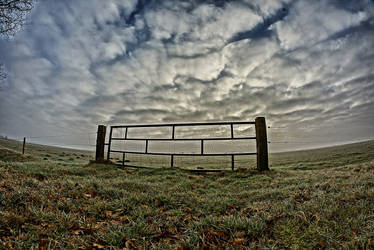 Fence Landscape