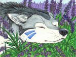 ACEO: Lounging in the Lavender by Sessko