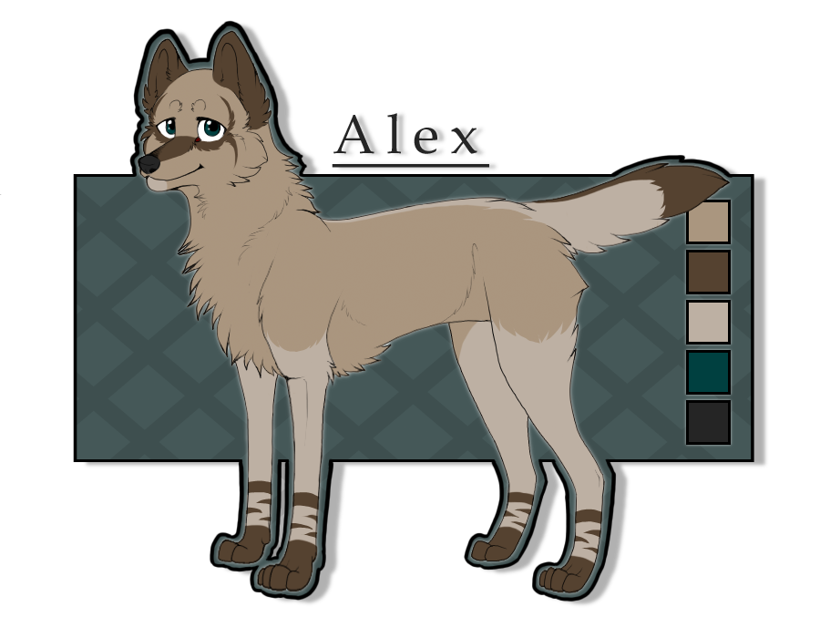 Character - Alex