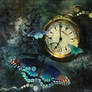 Wings of Time -One-