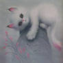 Pink Baby Bobcat