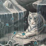 White Tiger In Waterfalls : detail