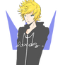 Roxas organization XIII