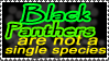 black panther