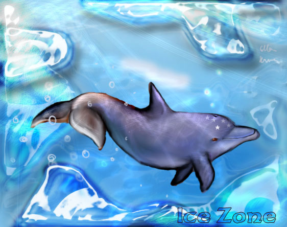 ecco the dolphin-icezone