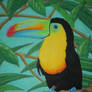 Tropical bird - pastel drawing