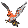 Talonflame Animated