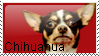 chihuahua stamp