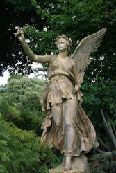 Angel statue Stock 16