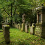 Landau cemetery Stock 03