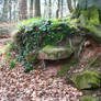 Background Stock 056