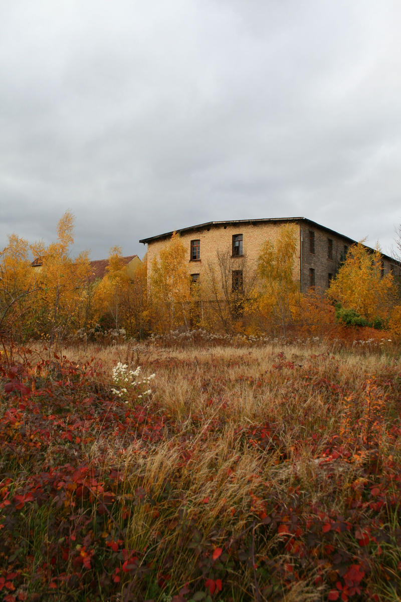 Abandoned factory stock 02