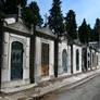 Lisbon Cemetery Stock 19