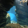 Aquarium Stock 36