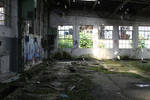 Industrial decay Stock 37