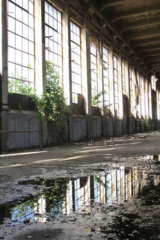 Industrial decay Stock 52