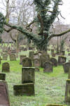 Jewish Cemetery Stock 48 by Malleni-Stock