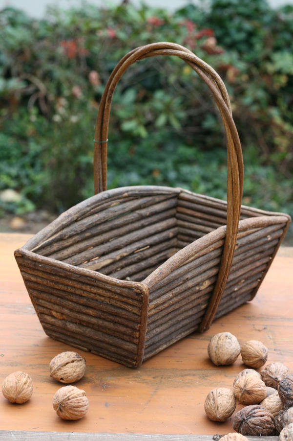 Autumn basket Stock 01