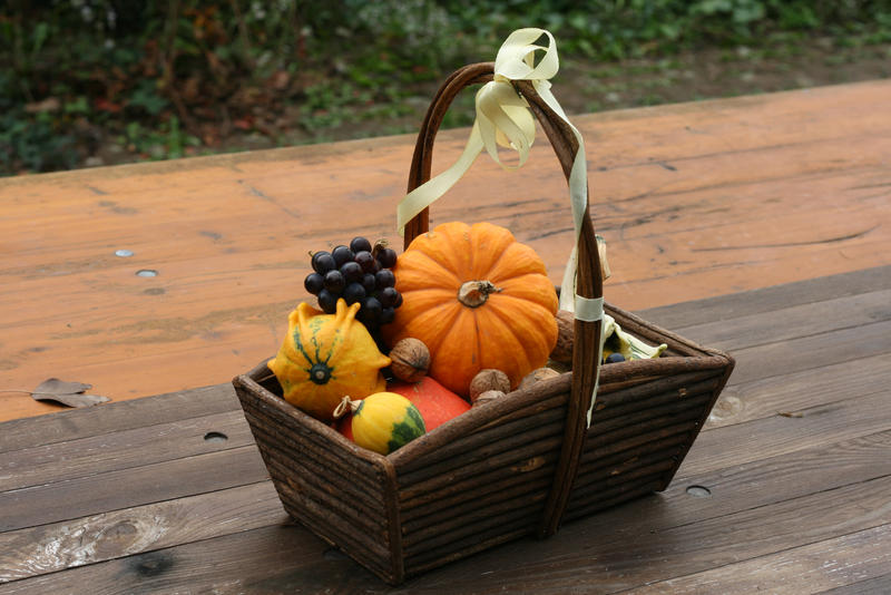 Autumn basket Stock 14