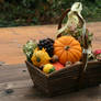 Autumn basket Stock 15
