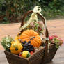 Autumn basket Stock 11