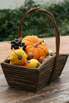 Autumn basket Stock 22