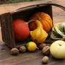 Autumn basket Stock 19