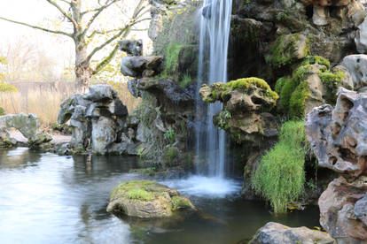 Chinese garden Stock 04