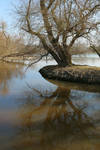 Rhine Stock 09 by Malleni-Stock